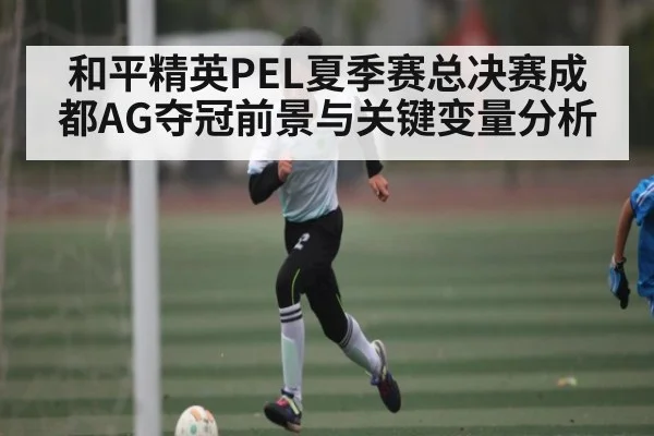 和平精英PEL夏季赛总决赛成都AG夺冠前景与关键变量分析 | kaiyun